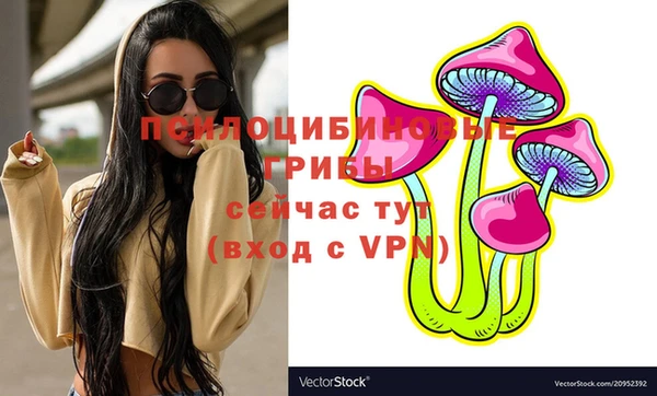 ALPHA PVP Долгопрудный